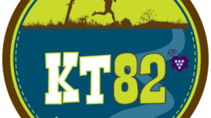 KT82 Trail Relay cover