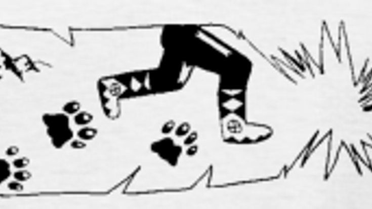 American Indian Council Powwow Fun Run cover