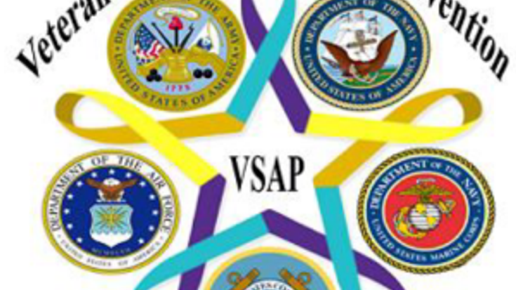 VSAP - Veteran Suicide Awareness and Prevention 3 Mile Walk/12 Mile Run/6 Mile 20kg Ruck cover
