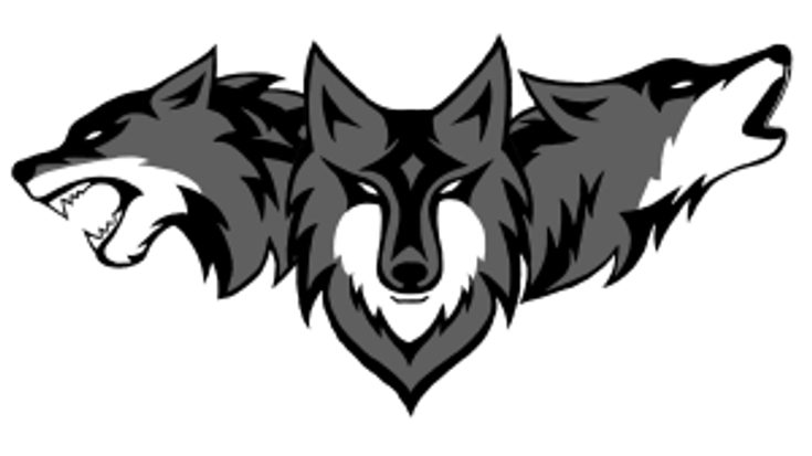 Wolf Run Series - RUNNING WOLF 2026 cover