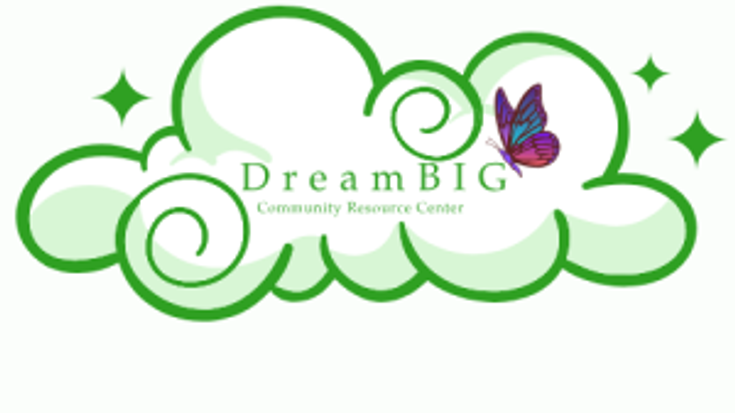 Dream BIG 5K Dash cover