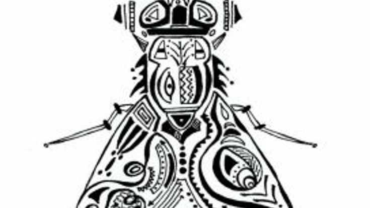 2026 WCA Black Fly Blitz 5k cover