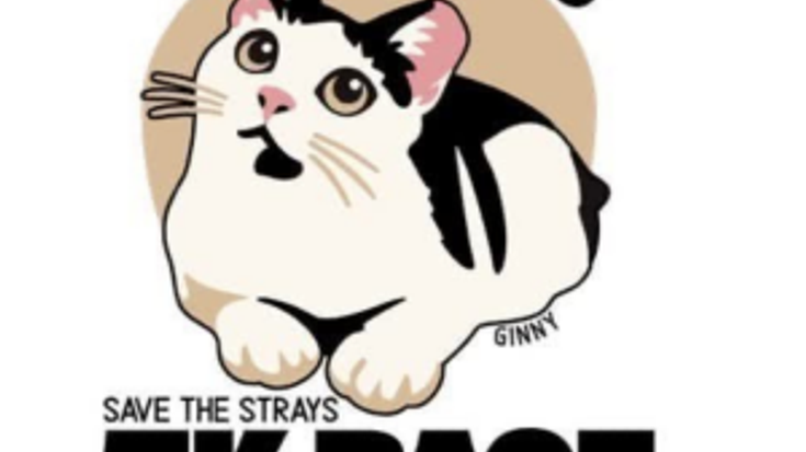 Save The Strays  5k And Fun Run cover