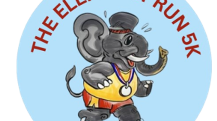 The Elephant Run cover