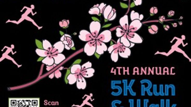 Lamp For Haiti 5K cover