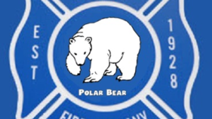 Polar Bear 5k cover