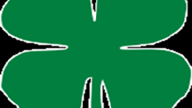 Wallkill Shamrock Scramble 5K cover