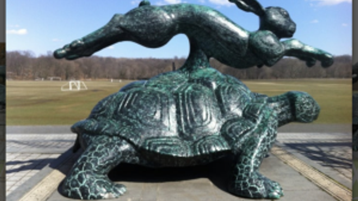 Urban Environmental Challenge 10k cover