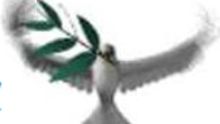 Feel The Spirit 5k cover