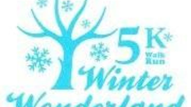 Winter Wonderland Run cover