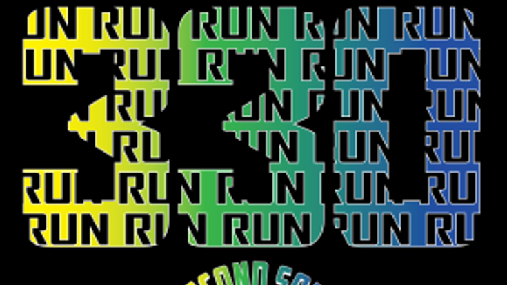 RUN (330) cover