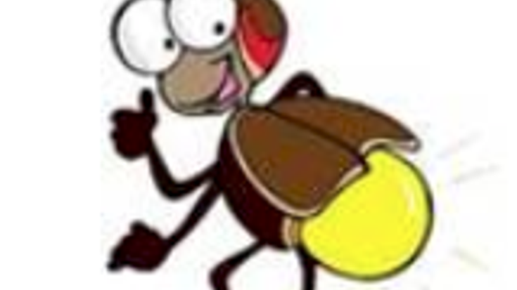 TISHOMINGO FIREFLY 5K & 1M FUN RUN, 8:20 p.m. cover