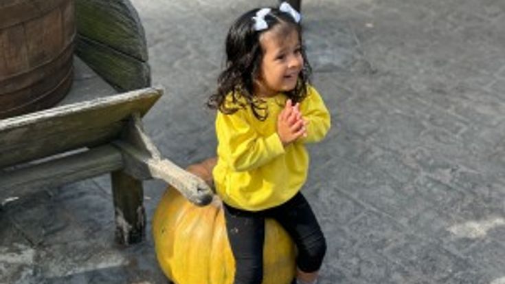 Walk/Run for Aria 5 for 5 cover