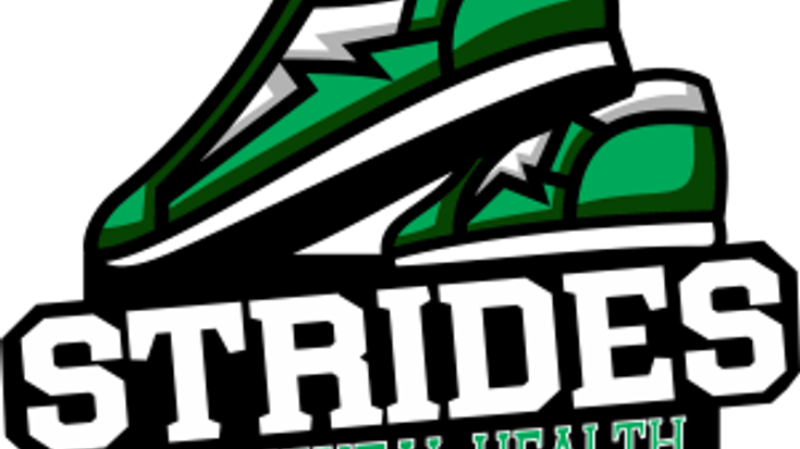 Making Strides for Mental Health cover