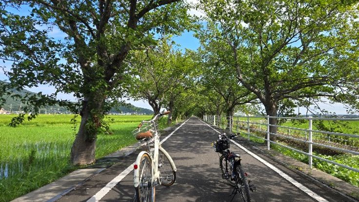 PEDAL DAY GO Mt. TSUKUBA 親子で楽しむミッションライド cover