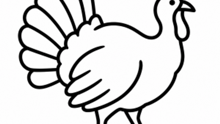 Alexander & Adan's 5K Turkey Run cover
