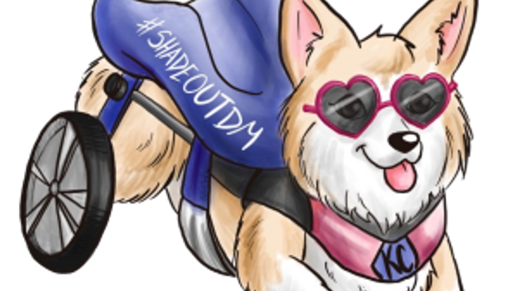 2026 RACE at Your Own Pace to #ShadeOutDM - "Together We Can PEACE-OUT DM!" ☮️ cover