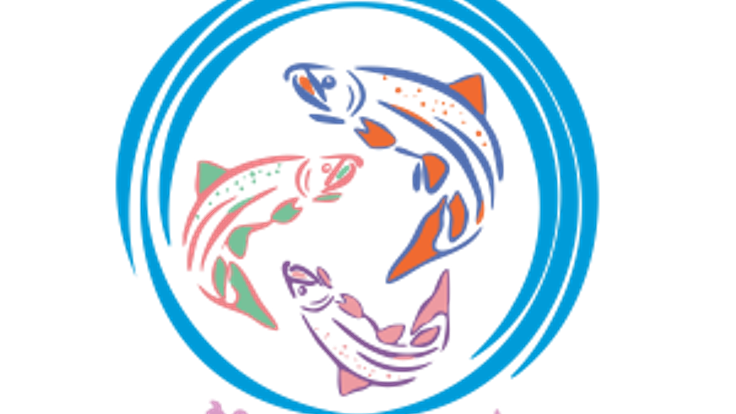Patagonia Salmon Run 5K cover