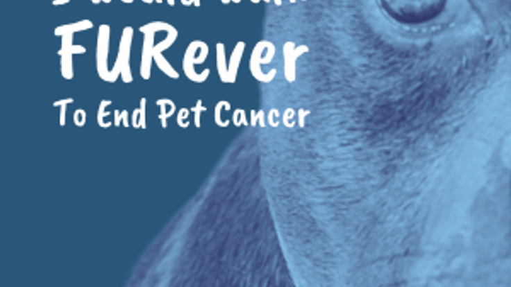 I would walk FURever To End Pet Cancer. A Fun Run/Walk for Moose's March cover
