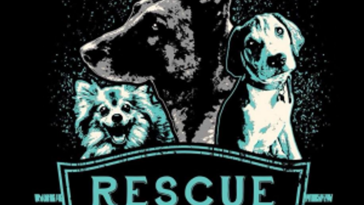 Rock and Run for the Rescue 10K/5K/1-Mile Dog Jog cover