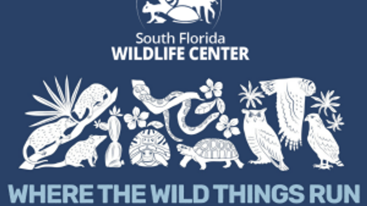 Where the Wild Things Run cover