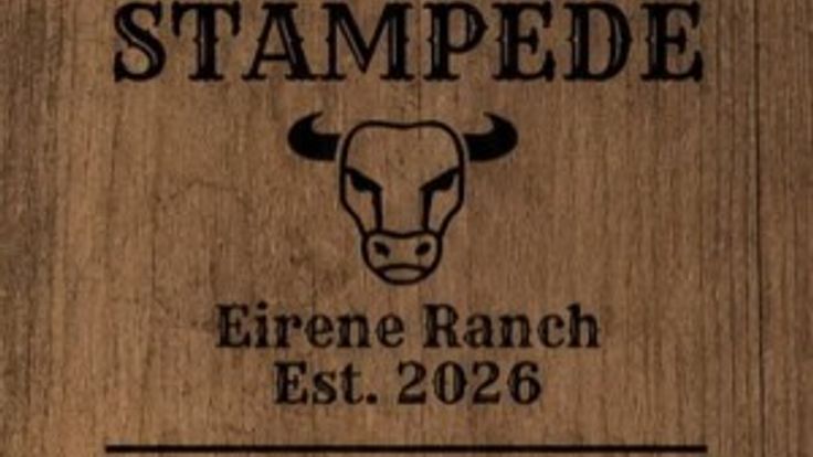 Buddy the Bull Stampede cover