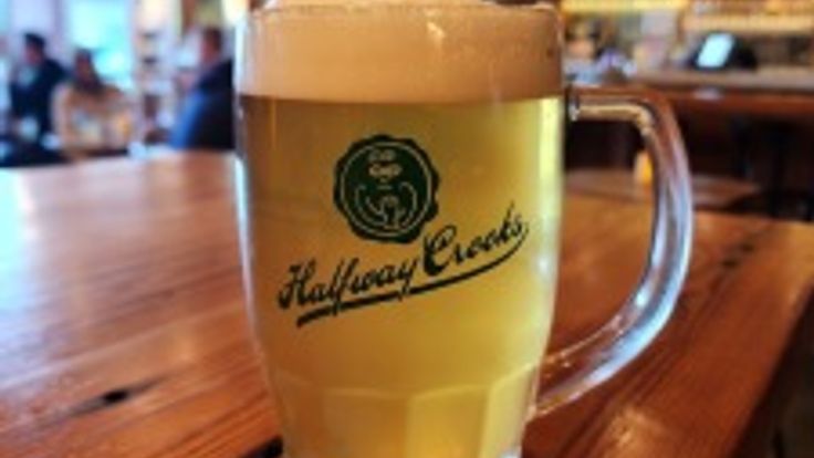 Halfway Crooks Beer 5K cover