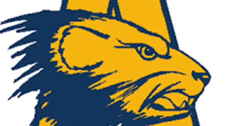 MHSAA Regional 9-1, 17-2 & 26-3 Hosted by Algonac cover