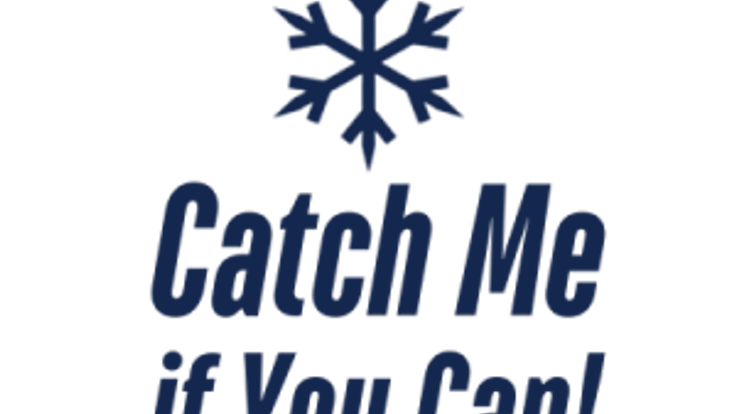 Catch Me if You Can! cover