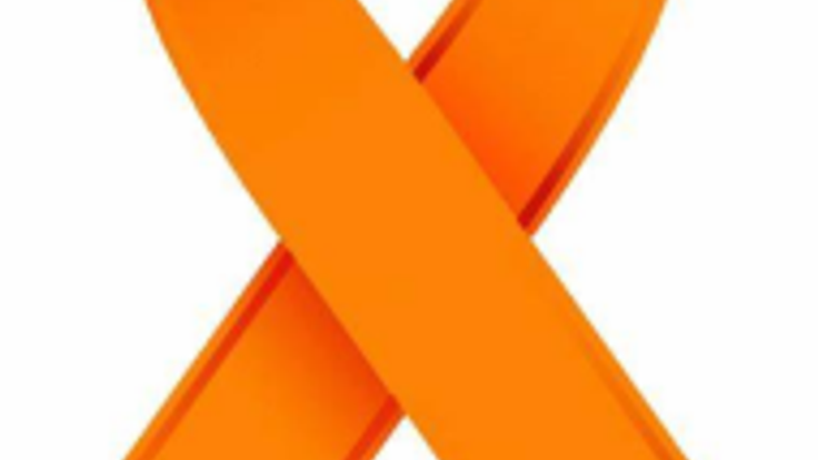 4th Annual Allie’s Army 5K Run / Walk to benefit the Brunas family cover