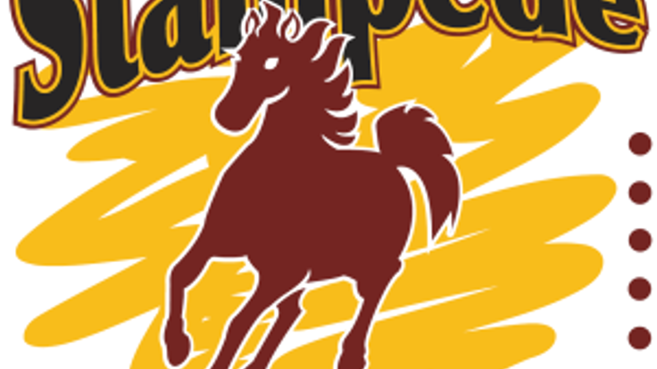 5k Stampede through Clifton cover