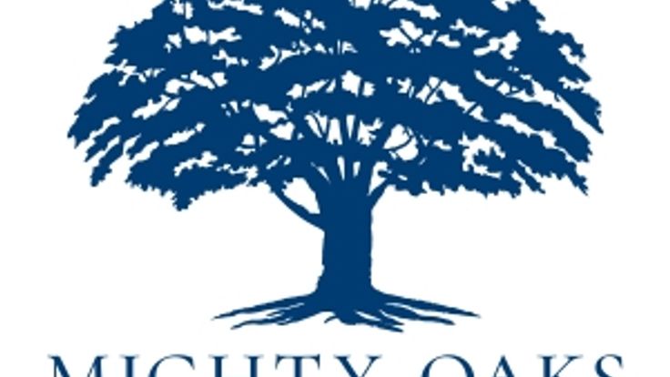 Annual Mighty Oaks Veterans Day Run cover