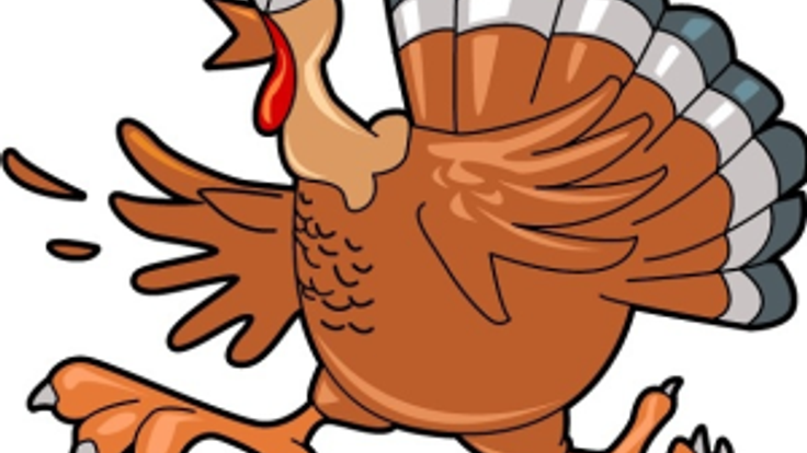 RRRC 49th Annual Turkey Trot 10k & 5k, presented by Wegmans cover