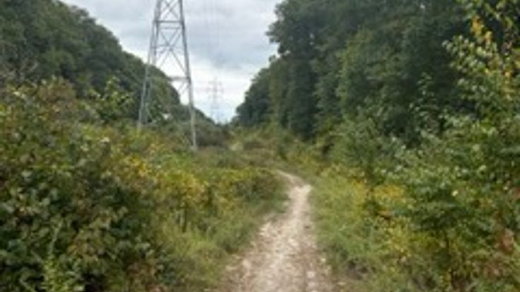 F.I.T. Frills Trail Race cover