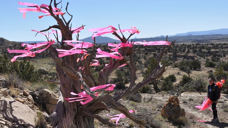 Deadman Peaks Trail Run cover