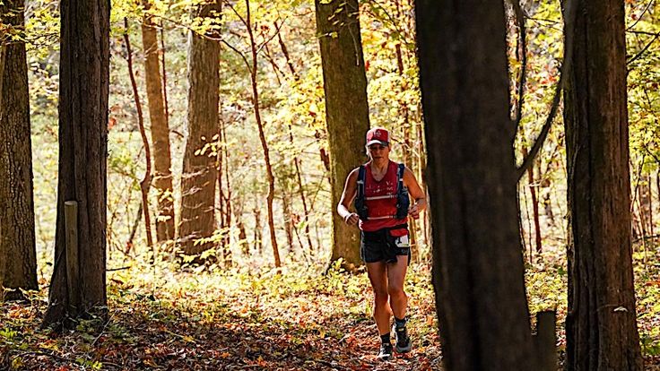 Natchez Trace Trail Run cover