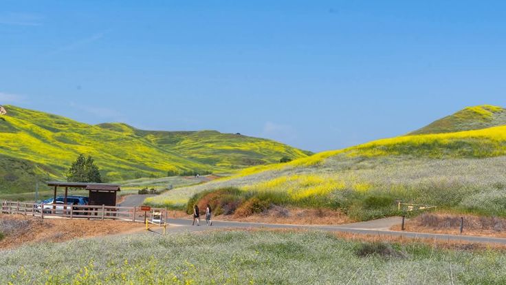 Chino Hills Trail Run Series Fall cover