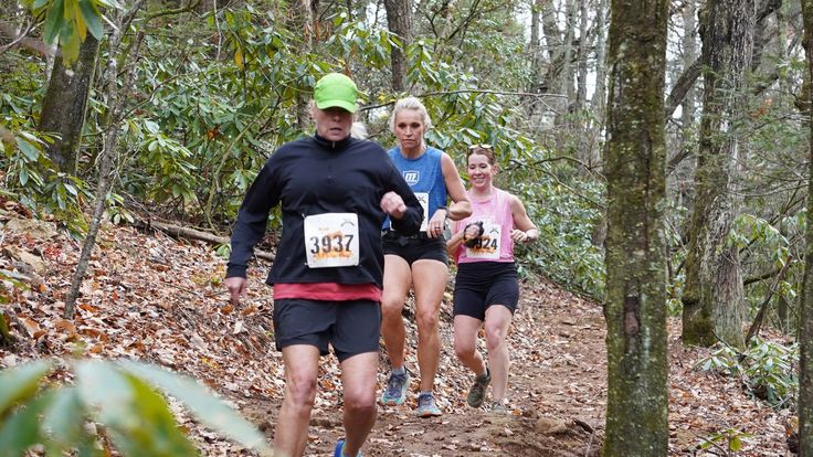Harbin Branch Veterans Run cover