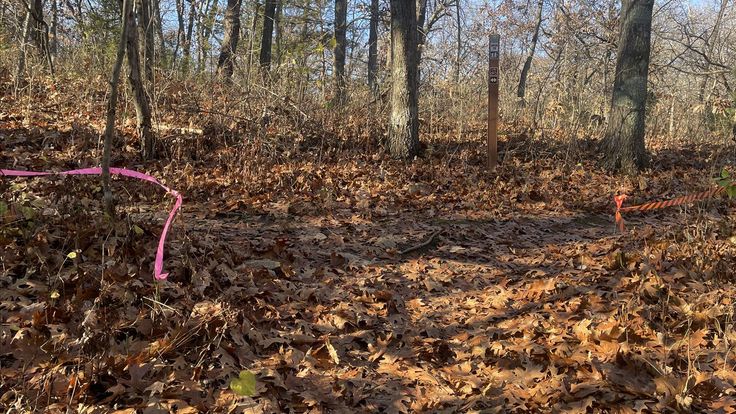 Tour de Trail: Shawnee Mission Park South cover