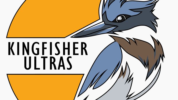 The Unforeseen cover
