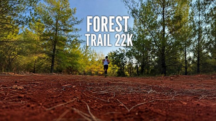 FOREST TRAİL cover