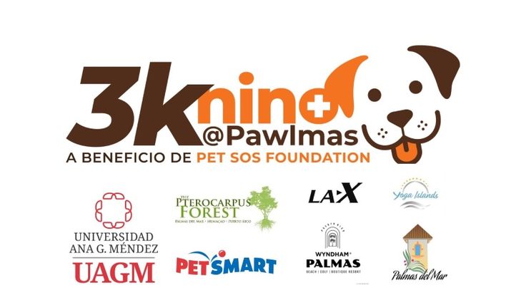 3knino @ Pawlmas cover