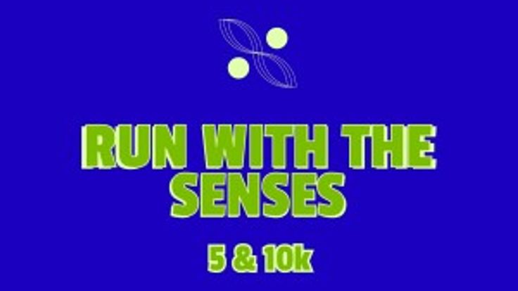Run With The Senses cover