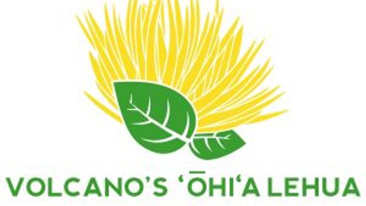 Volcano's ʻŌhiʻa Lehua Run cover