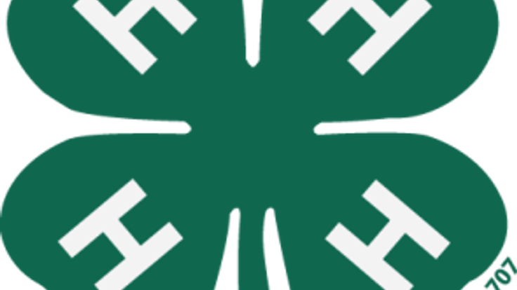 Clover Dash 5k cover