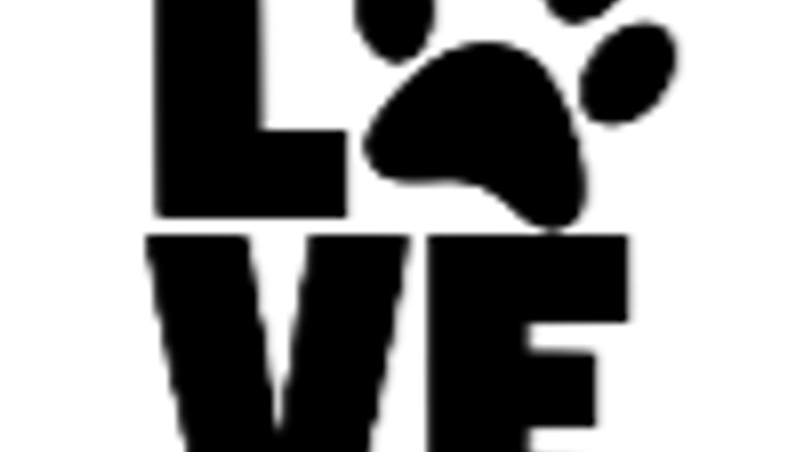 Paws For A Cause cover