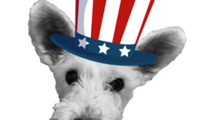 Winnie's Way 5k Rescue Run cover