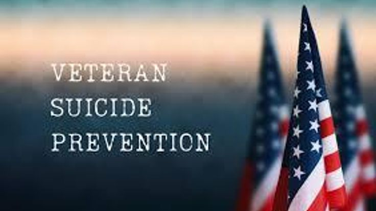 Stride For Change: Supporting Our Veterans and Military Families cover