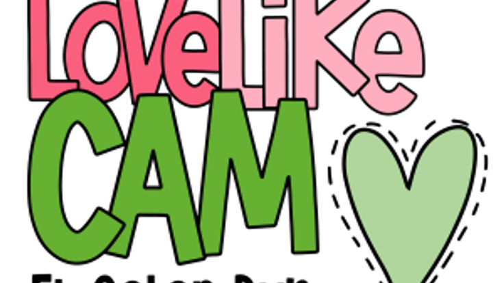 2026 Love Like Cam 5k Color Run cover