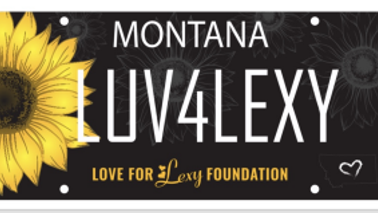 3rd in Annual Love for Lexy's Color Run cover